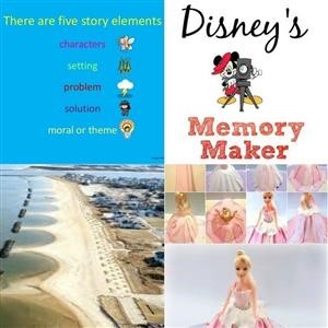 The Cinderella Solution Success Stories